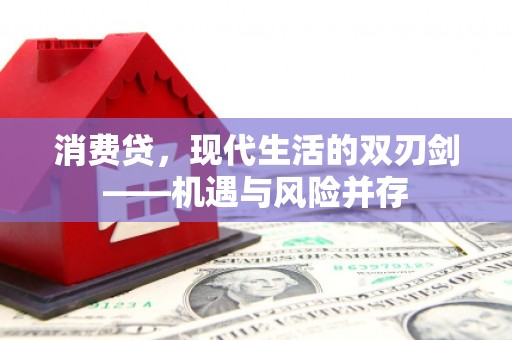 稻城消费贷，现代生活的双刃剑——机遇与风险并存