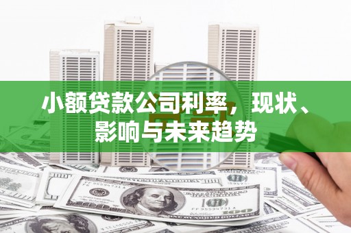 稻城小额贷款公司利率，现状、影响与未来趋势