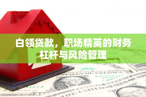 稻城白领贷款，职场精英的财务杠杆与风险管理