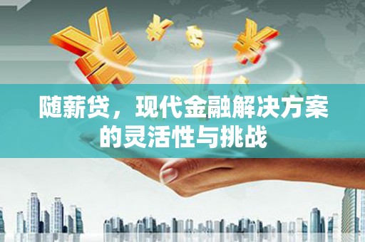 稻城随薪贷，现代金融解决方案的灵活性与挑战