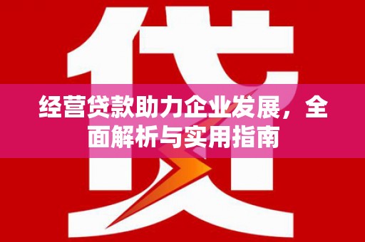 稻城经营贷款助力企业发展，全面解析与实用指南