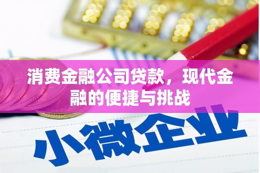 稻城消费金融公司贷款，现代金融的便捷与挑战
