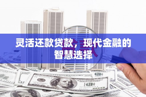 稻城灵活还款贷款，现代金融的智慧选择