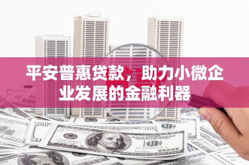 稻城平安普惠贷款，助力小微企业发展的金融利器