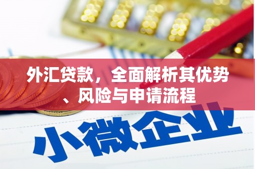 稻城外汇贷款，全面解析其优势、风险与申请流程
