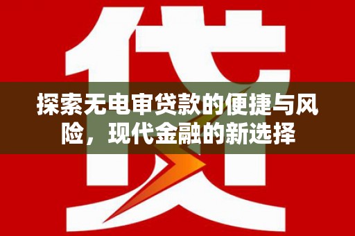 稻城探索无电审贷款的便捷与风险，现代金融的新选择