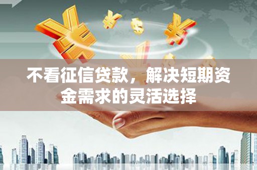 稻城不看征信贷款，解决短期资金需求的灵活选择