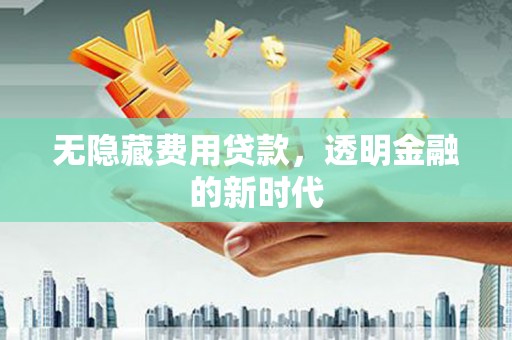 稻城无隐藏费用贷款，透明金融的新时代