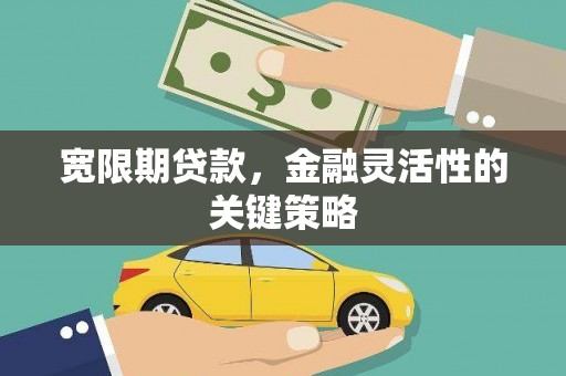 稻城宽限期贷款，金融灵活性的关键策略