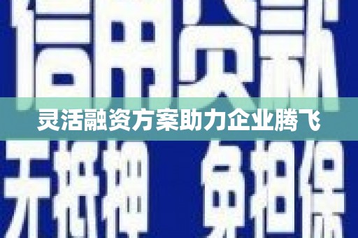 稻城灵活融资方案助力企业腾飞