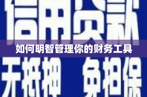 稻城如何明智管理你的财务工具
