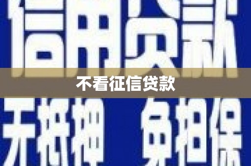 稻城不看征信贷款