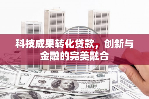 稻城科技成果转化贷款，创新与金融的完美融合