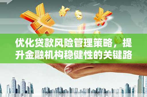 稻城优化贷款风险管理策略，提升金融机构稳健性的关键路径