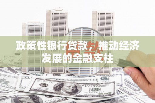稻城政策性银行贷款，推动经济发展的金融支柱
