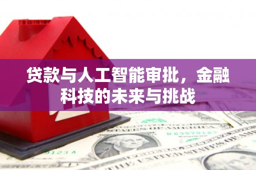 稻城贷款与人工智能审批，金融科技的未来与挑战