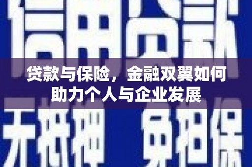 稻城贷款与保险，金融双翼如何助力个人与企业发展