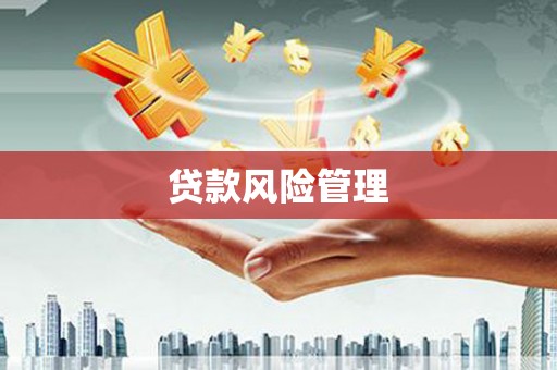 稻城贷款风险管理