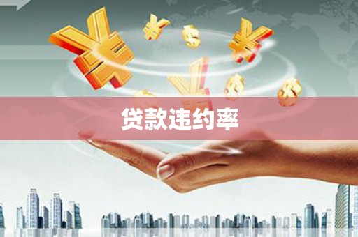 稻城贷款违约率