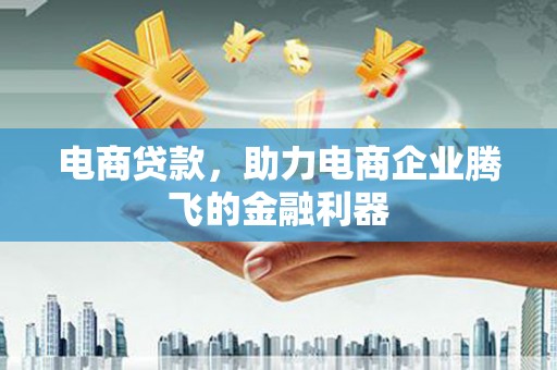 稻城电商贷款，助力电商企业腾飞的金融利器