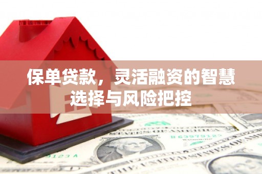 稻城保单贷款，灵活融资的智慧选择与风险把控