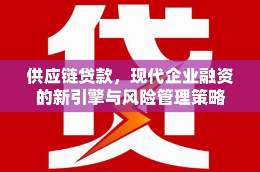 稻城供应链贷款，现代企业融资的新引擎与风险管理策略