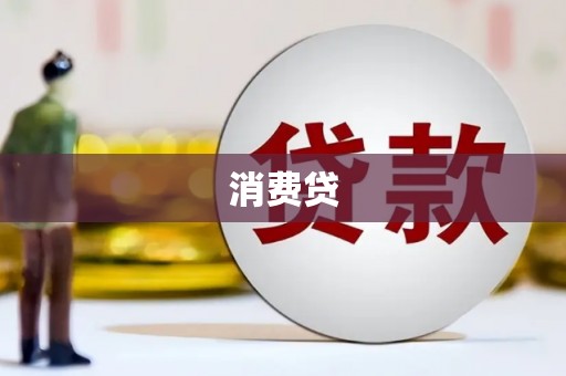 稻城消费贷