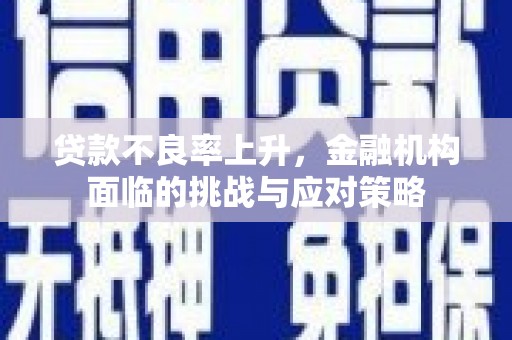稻城贷款不良率上升，金融机构面临的挑战与应对策略