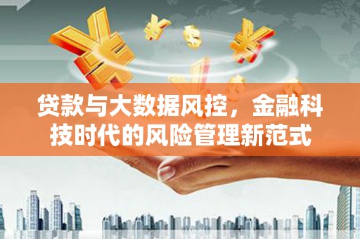 稻城贷款与大数据风控，金融科技时代的风险管理新范式