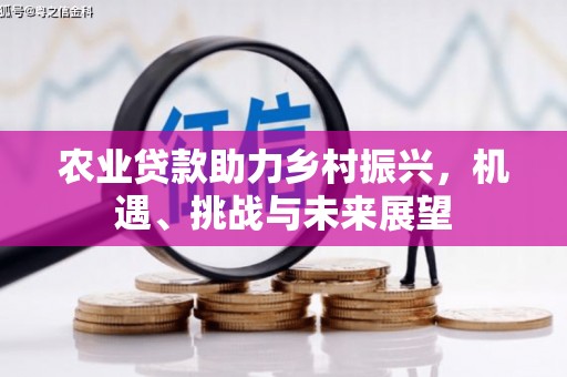 稻城农业贷款助力乡村振兴，机遇、挑战与未来展望