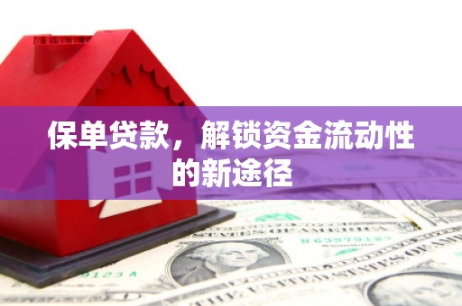 稻城保单贷款，解锁资金流动性的新途径