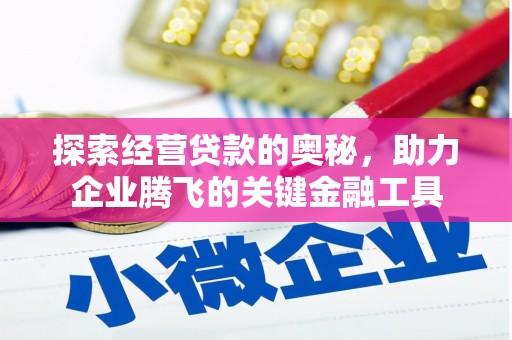 稻城探索经营贷款的奥秘，助力企业腾飞的关键金融工具