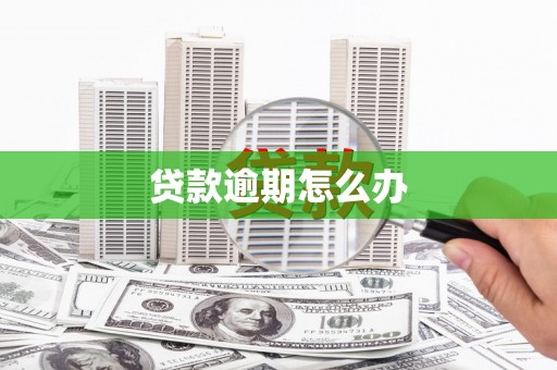 稻城贷款逾期怎么办