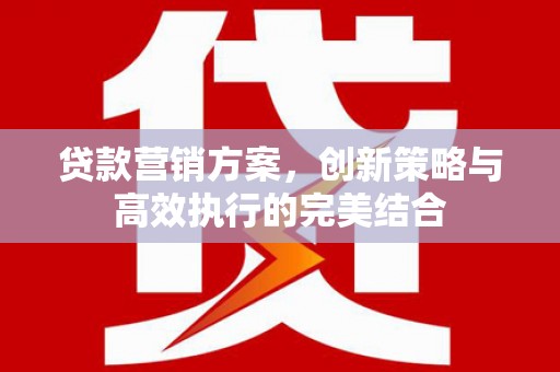 稻城贷款营销方案，创新策略与高效执行的完美结合
