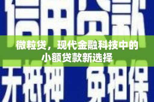稻城微粒贷，现代金融科技中的小额贷款新选择