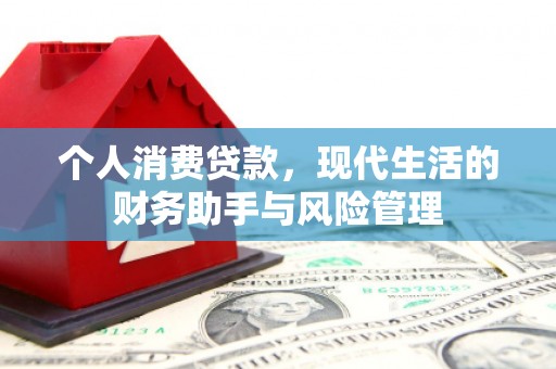 稻城个人消费贷款，现代生活的财务助手与风险管理