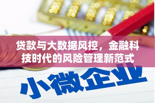 稻城贷款与大数据风控，金融科技时代的风险管理新范式