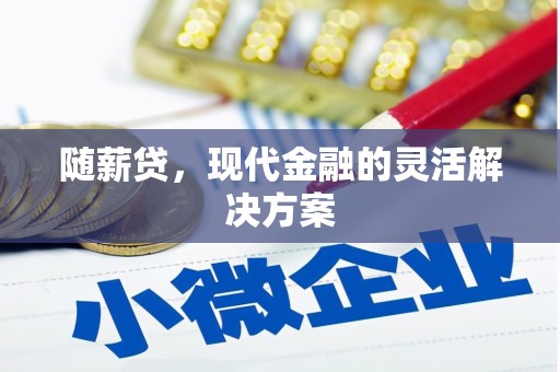 稻城随薪贷，现代金融的灵活解决方案