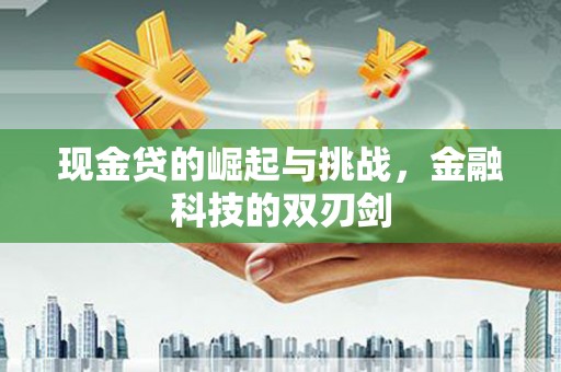 稻城现金贷的崛起与挑战，金融科技的双刃剑
