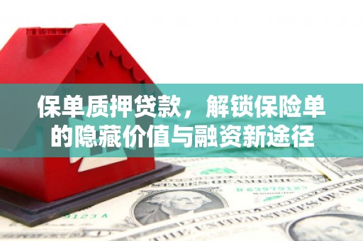 稻城保单质押贷款，解锁保险单的隐藏价值与融资新途径