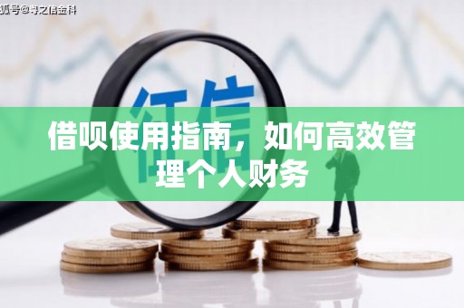 稻城借呗使用指南，如何高效管理个人财务