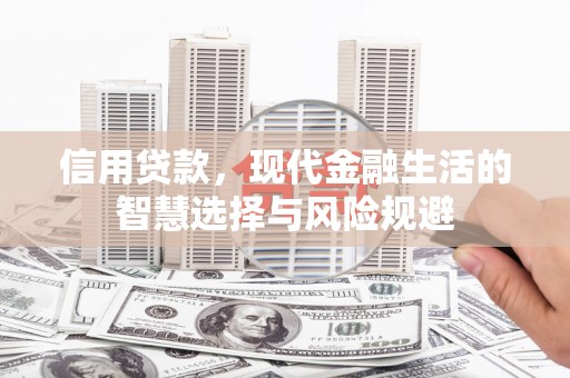 稻城信用贷款，现代金融生活的智慧选择与风险规避