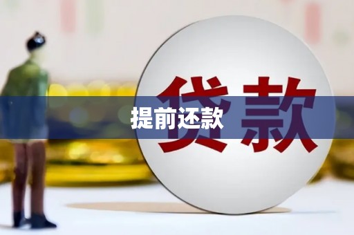 稻城提前还款