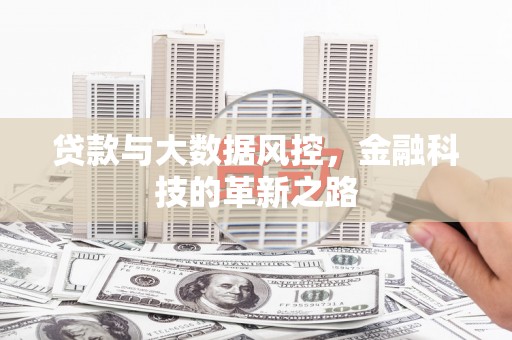 稻城贷款与大数据风控，金融科技的革新之路