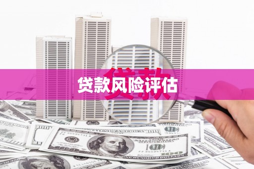 稻城贷款风险评估