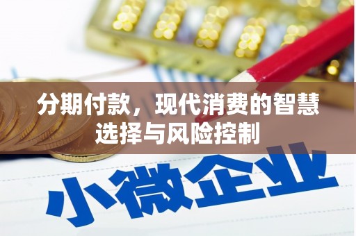 稻城分期付款，现代消费的智慧选择与风险控制