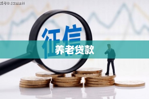 稻城养老贷款