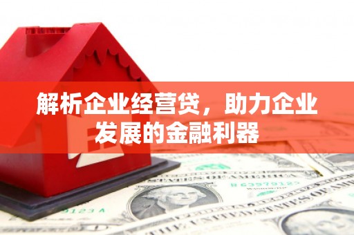 稻城解析企业经营贷，助力企业发展的金融利器