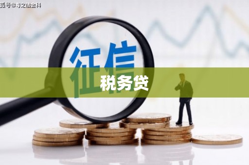 稻城税务贷