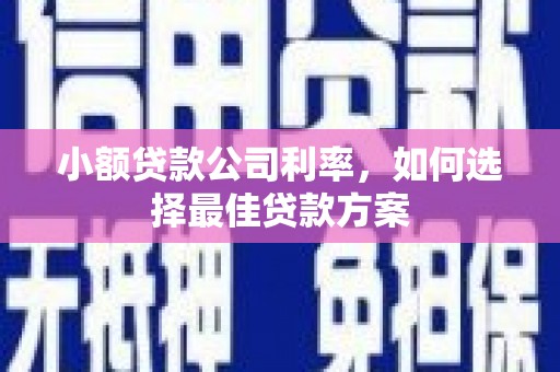 稻城小额贷款公司利率，如何选择最佳贷款方案